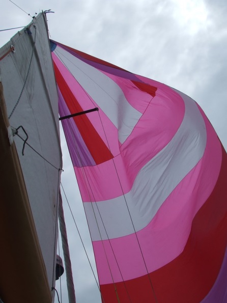 DSCF5650.JPG