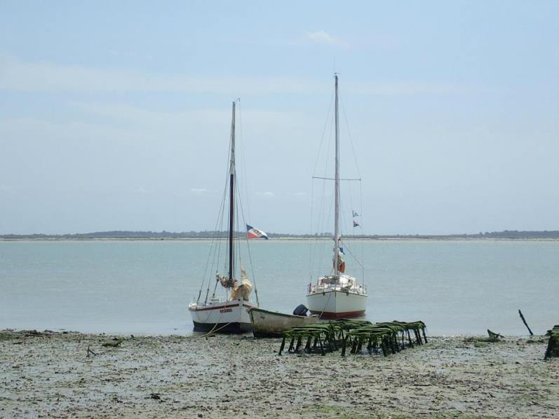 img3.jpg