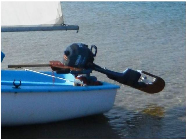 Safran à moteur 2.jpg