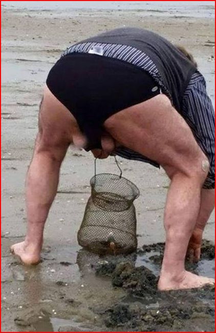 Capturer1.JPG