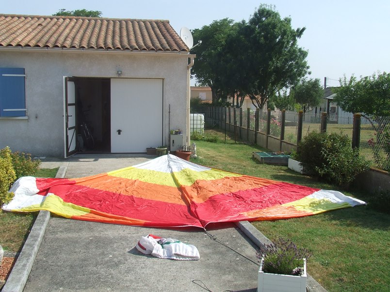 pseudo spi papillon.JPG