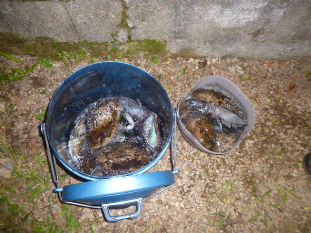 P1000383.JPG