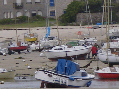 IMGP0055.gif