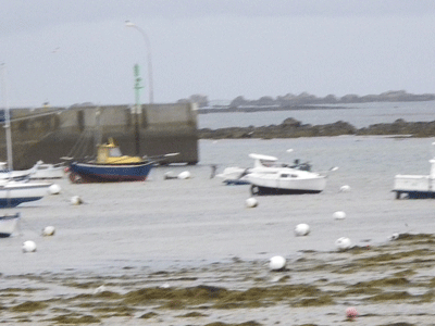IMGP0033.gif
