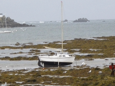 IMGP0034.gif