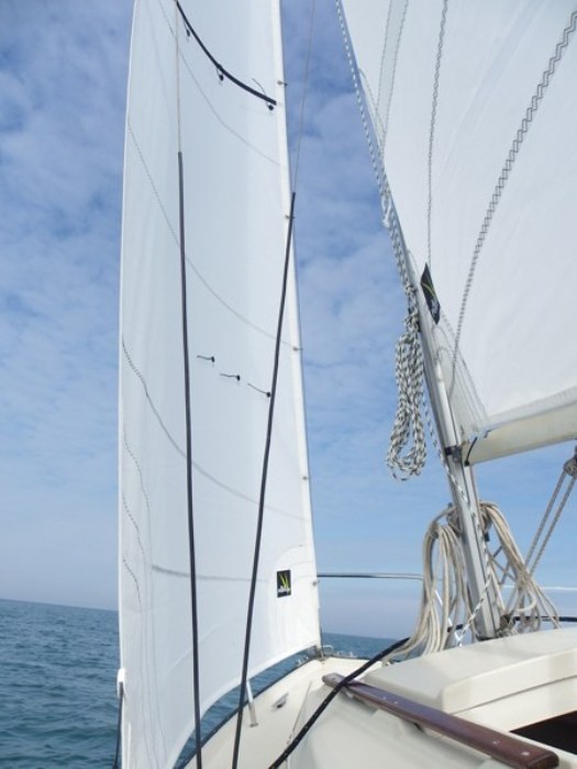 sous voiles.JPG
