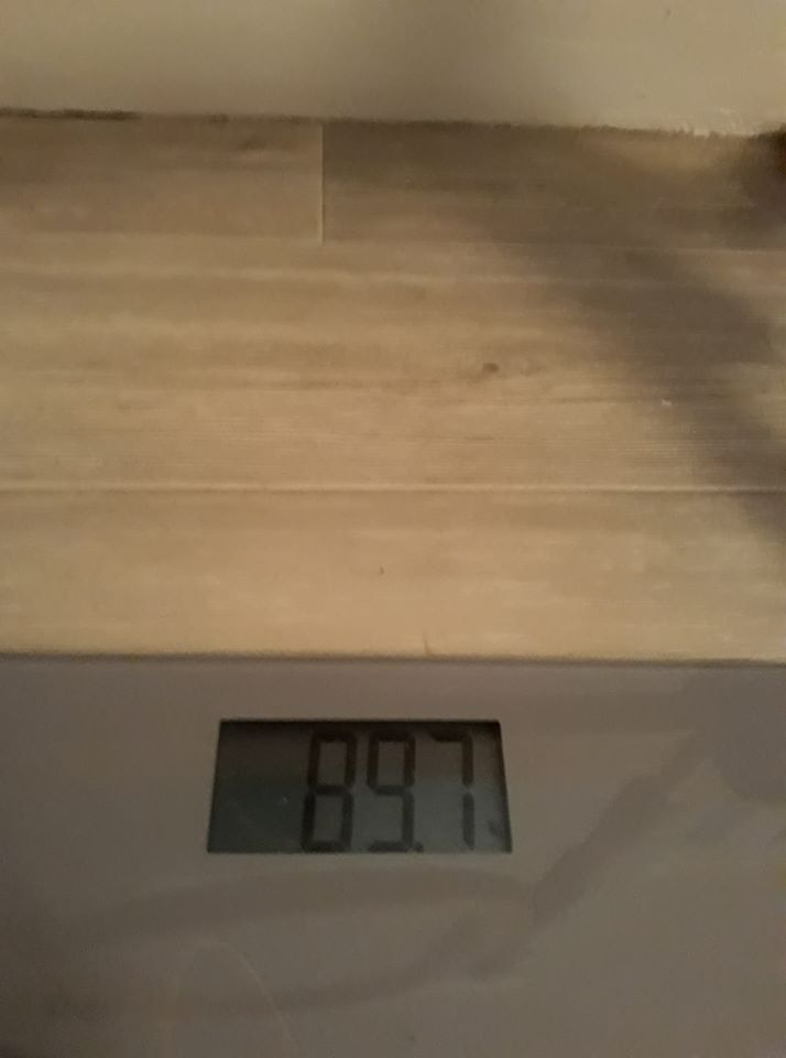 104851697_10216406007119888_2904549347206433817_o.jpg