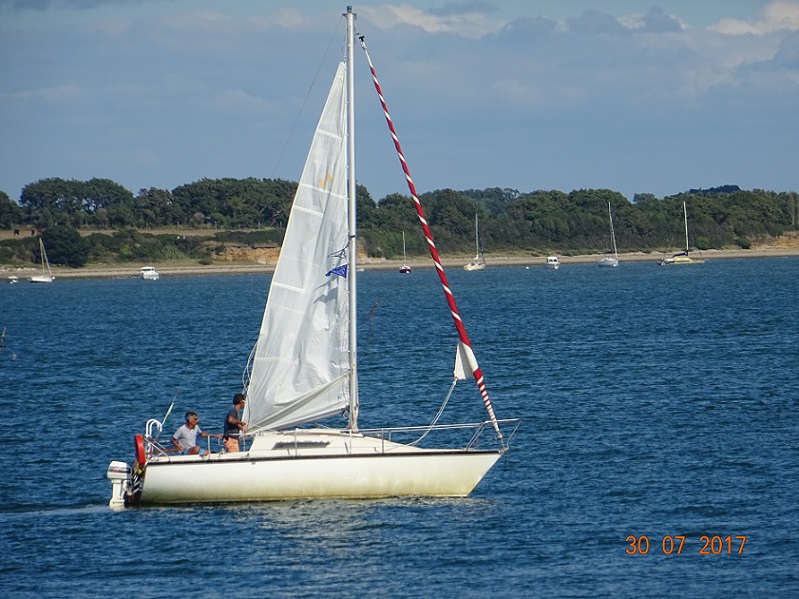 DSC02986.jpg
