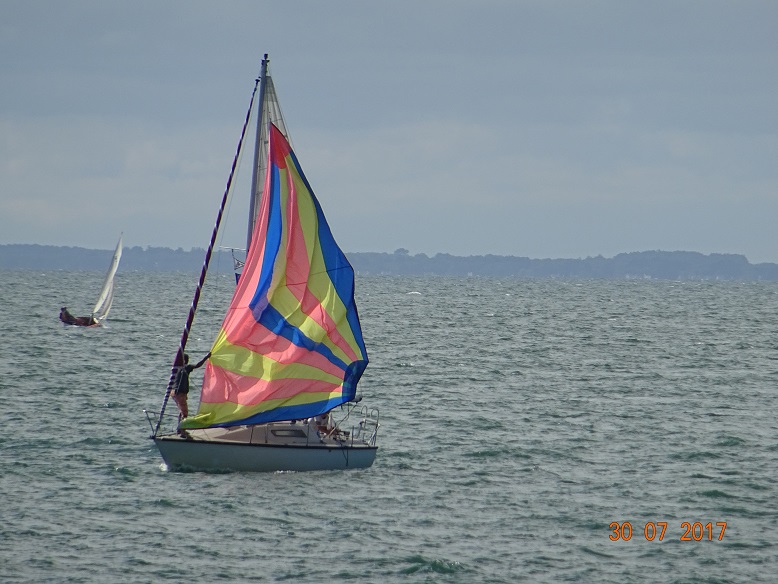 DSC02973.jpg