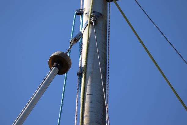 drisse genois.JPG