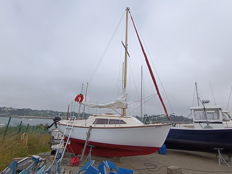 IMG_20240626_170928.jpg