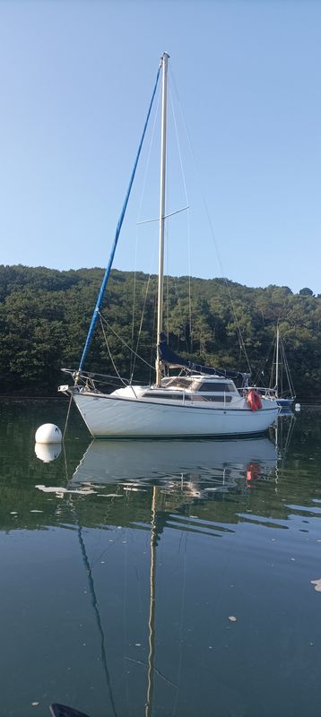 evasion22.jpg