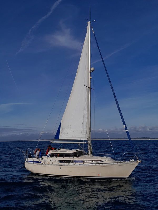 evasion29.jpg