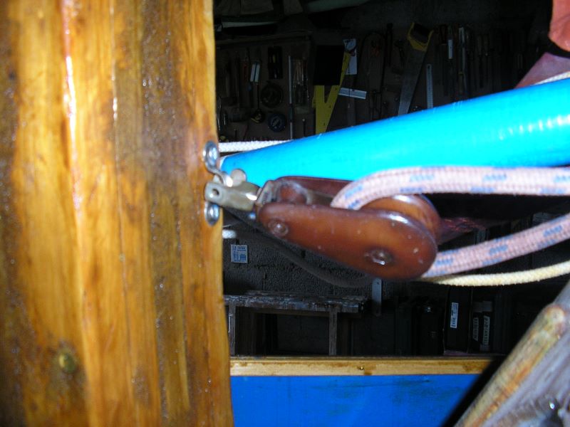 P1010003.jpg