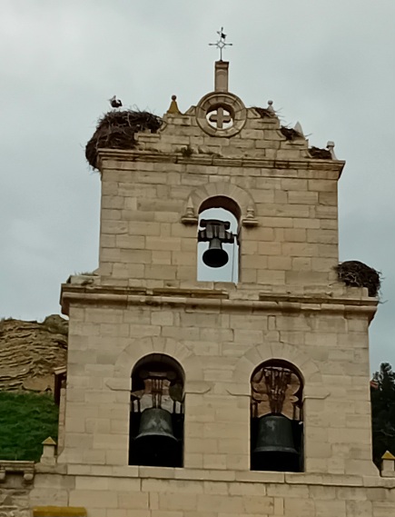 20250427_174200.jpg