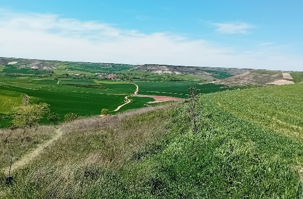 20250429_143334.jpg