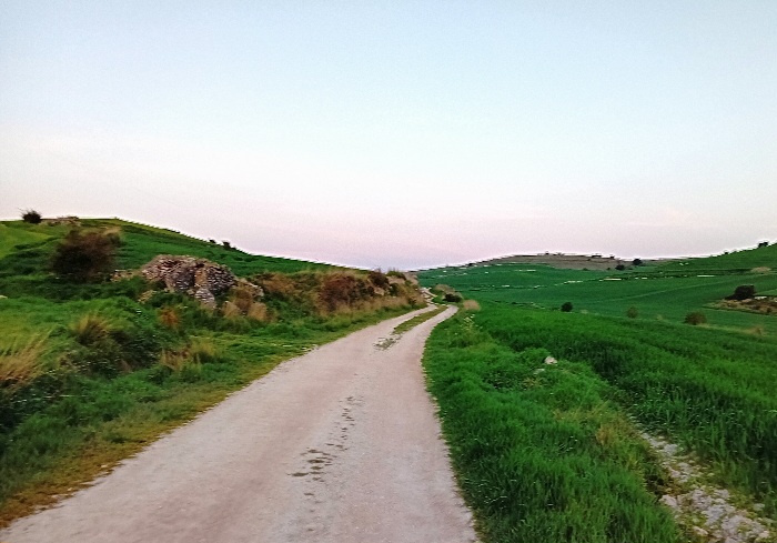 20250430_071056.jpg