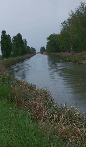 IMG-20250502-WA0010.jpg