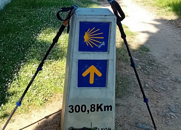 20250507_104347.jpg