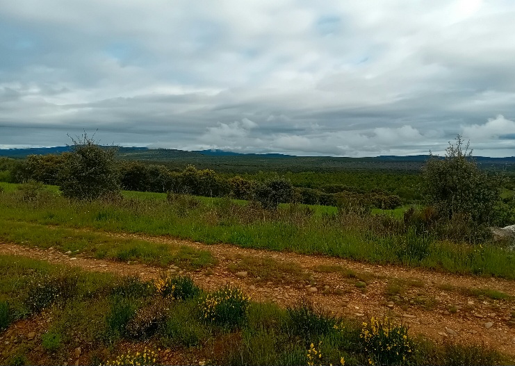 20250509_091027.jpg