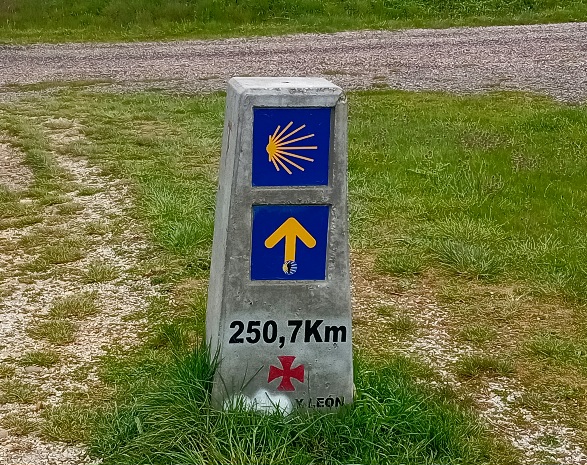 20250509_104446.jpg