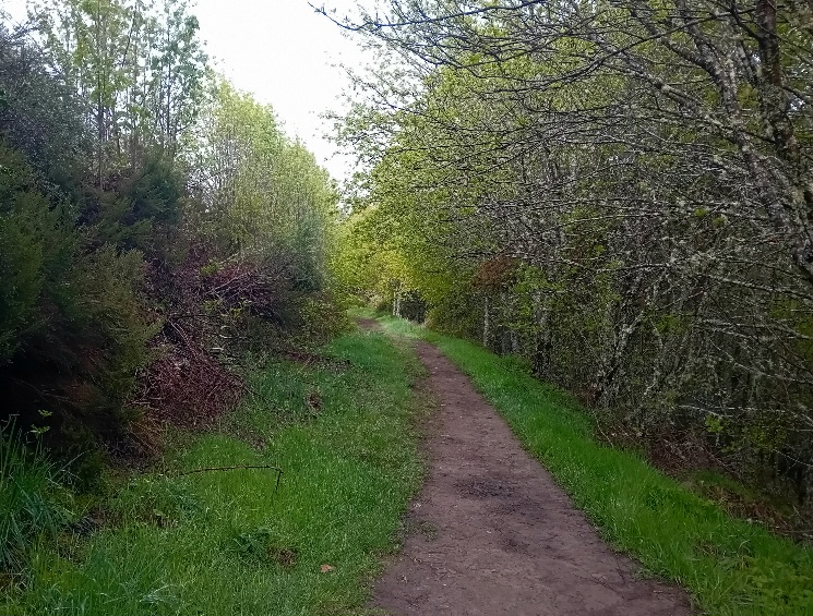 20250510_095656.jpg