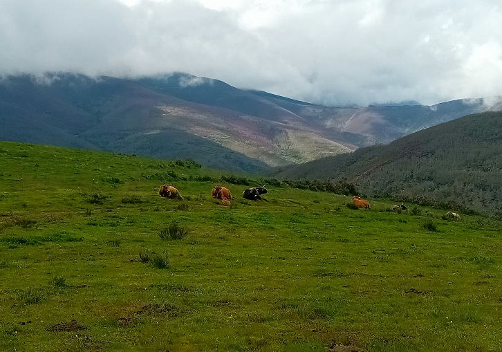 20250510_103734.jpg