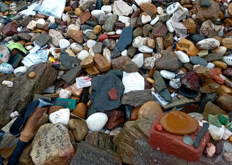 20250510_092949.jpg