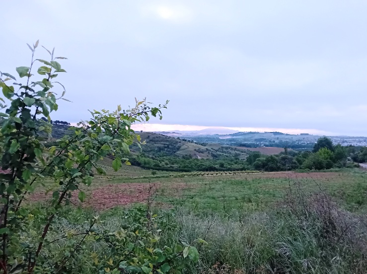20250513_071118.jpg