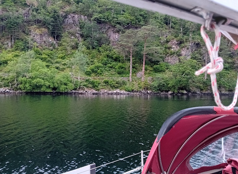 20250629_201839.jpg
