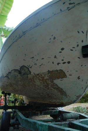 DSC_0438.JPG