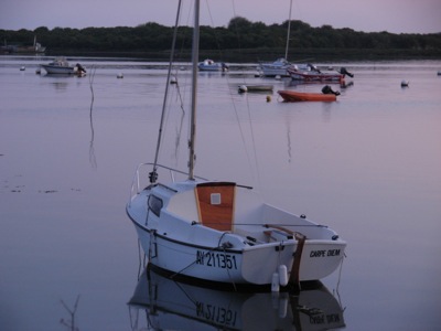 DSCN0528.jpg