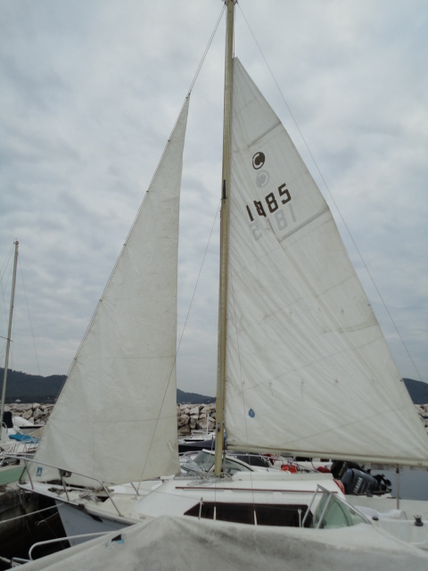 DSC01044.JPG