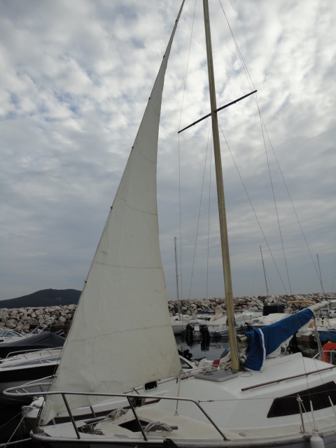 DSC01038.JPG
