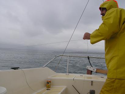 Copie de P1010170.JPG