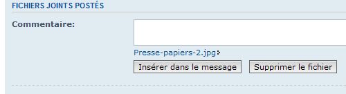 Presse-papiers-4.jpg