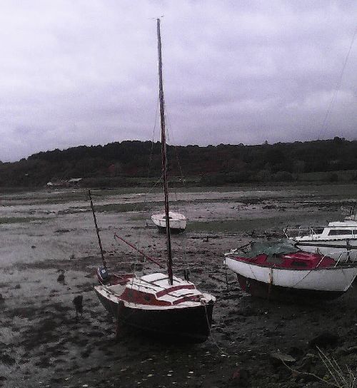 IMG00020_1.jpg